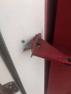 Bad workmanship. Door is 8 years old and screws won't stay in.