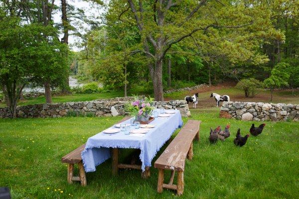 Dining by the Towne Pond