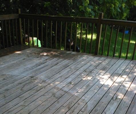 Braidwood- Deck before