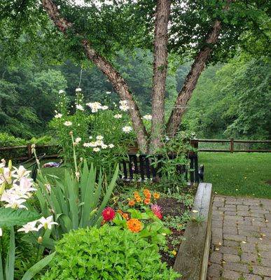 Summer resident garden