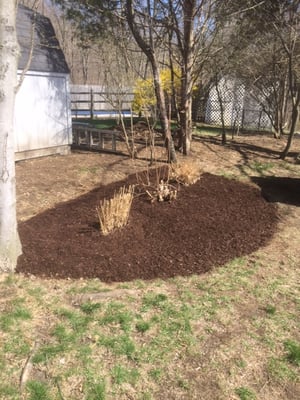 Mulch install, Shelton CT.