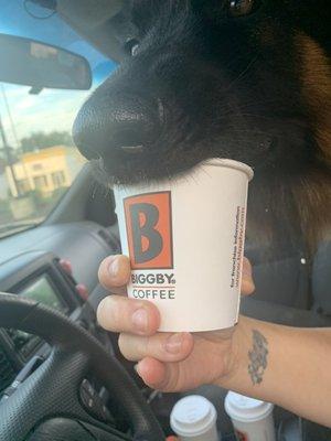 Henry enjoying his BIGGBY pup cup!!