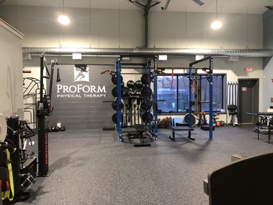 Gym with Rogue Rig