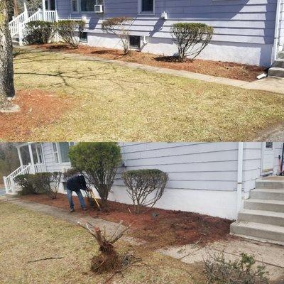 Shrub removal www.cpslawns.com