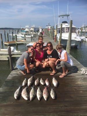 Another limit of Striper (Rockfish).  Reserve your Day on the Bay with My Girl Charters. www.mygirlcharters.com. 410-570-1125