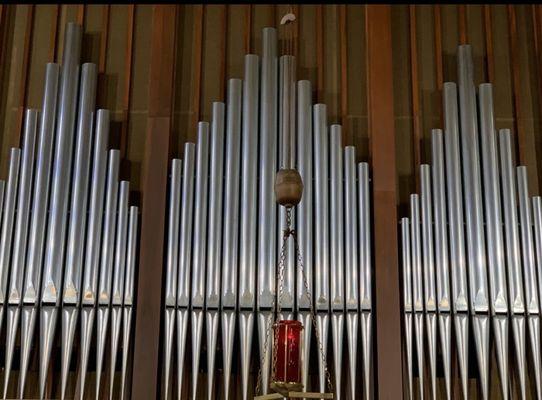 Organ pipes