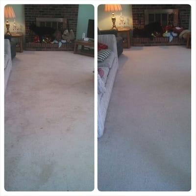 Green & DRY Carpet Cleaning