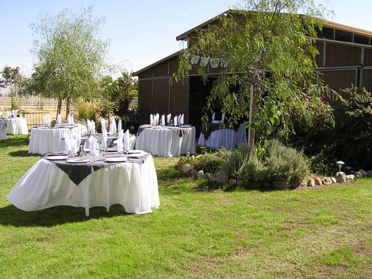 Reception area ready for guests