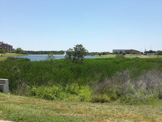 The lake and senior center