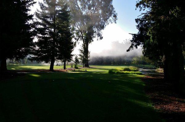 Deep Cliff Golf Course