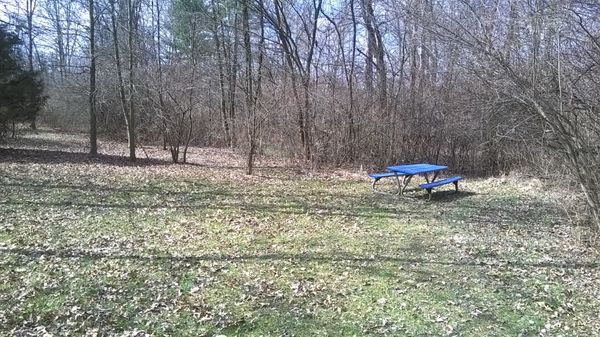 picnic table back by the woods