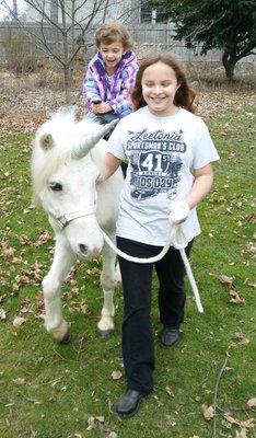 photo of Pony Time Ranch P.