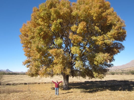 Photo of Michelle C.