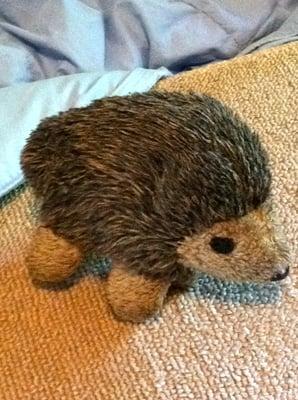 photo of Hedgie H.