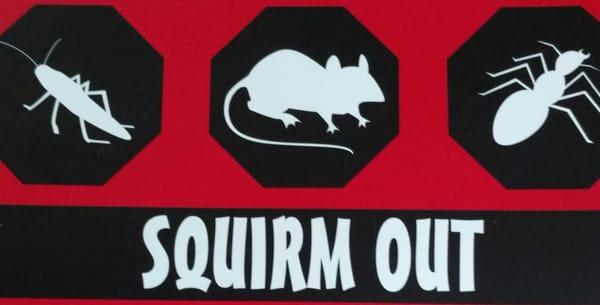 photo of Squirmout B.