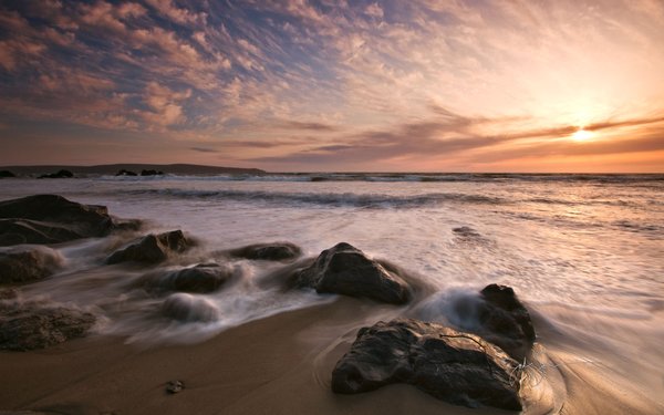 Photo of Beachbaby D.