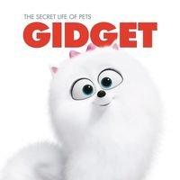 photo of Gidget S.