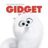 Photo of Gidget S.