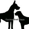 Photo of Kuntree Bred Team K.