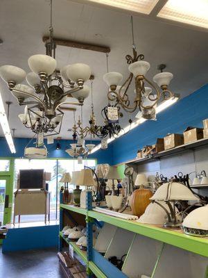 Inside Store some light fixture inventory