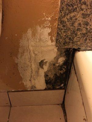 Need I say more. When I showed owner pictures he said "no mold". Did agree to change our room. Bottom line- you get what you pay for.