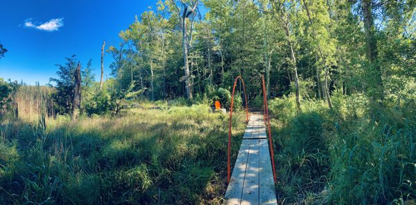 The Sperlak Gallery -- sculpture garden