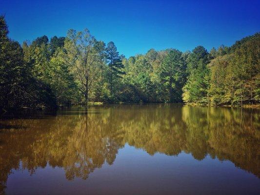 Pondside views.