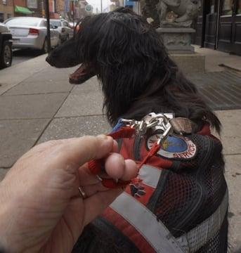 Angel with harness handle; in front of  my building