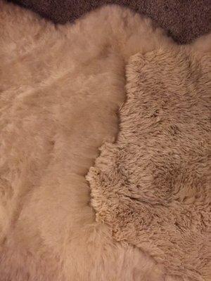 Sheepskin rug, cleaned and groomed.