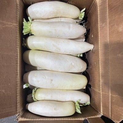 Daikon