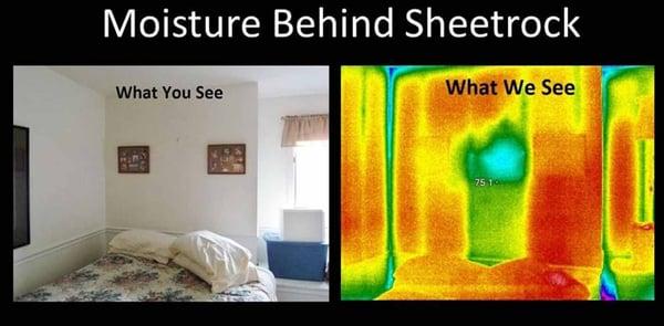 San Antonio mold testing