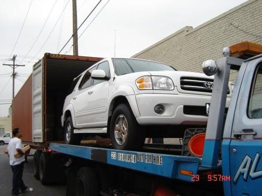 Transportes Flor de Nochebuena