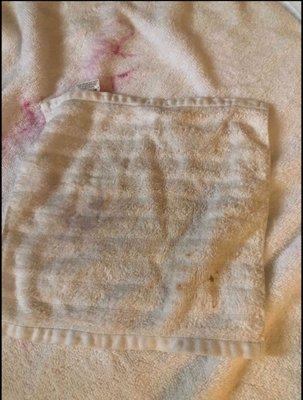 This is the washcloth we were accused of damaging.