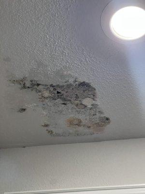 Mold build up within 1 month of moving to brand new house