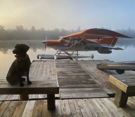 Flight training at the dock