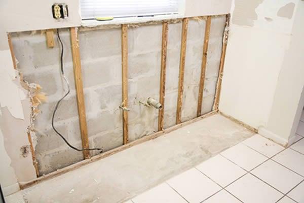 Mold Remediation