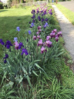 Valley Stump Grinding, LLC