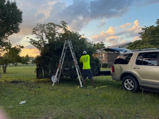 Trimmed another tree in Gray Creek for a great client.