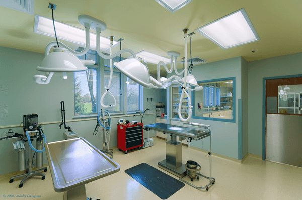 State-of-the-art surgical suite for routine and advanced procedures.