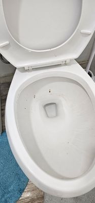 The tiolet has a ring on it. The #2 housemate took #2, splittered ridsual shit all over the seats.