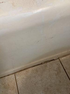 Mold around tub