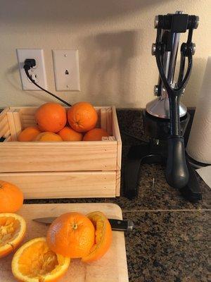 Putting juicer to work #freshorangejuice #organic