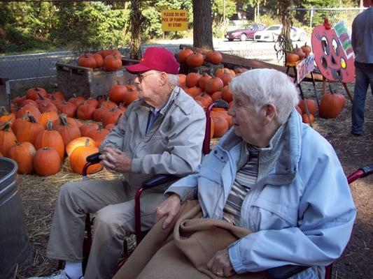 Pumpkin Patch!