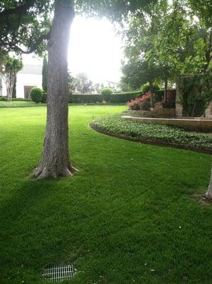 complete lawn maintenance