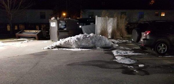 Snow all winter front of dumpster Trash and furniture built up around dumpster with snow tenants unable to throw trash away safetly