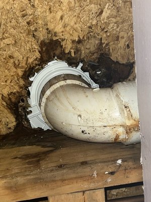 The rotting subfloor as seen from the room directly below after water mitigation to open and dry the wet areas.