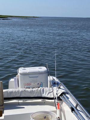 Beaufort Coastal Adventures