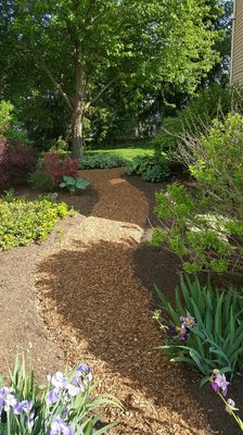 This customer wanted a pathway through their mulch so we did two different colors but kept it all natural. They loved it