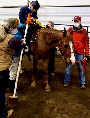 Free Rein Therapeutic Riding