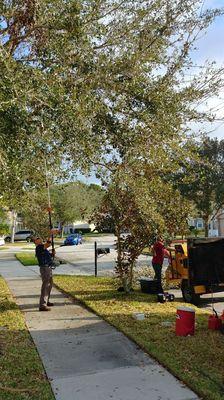 Are you looking for the best tree service company in Florida? Look no further than  American Tree Arbor Services LLC...